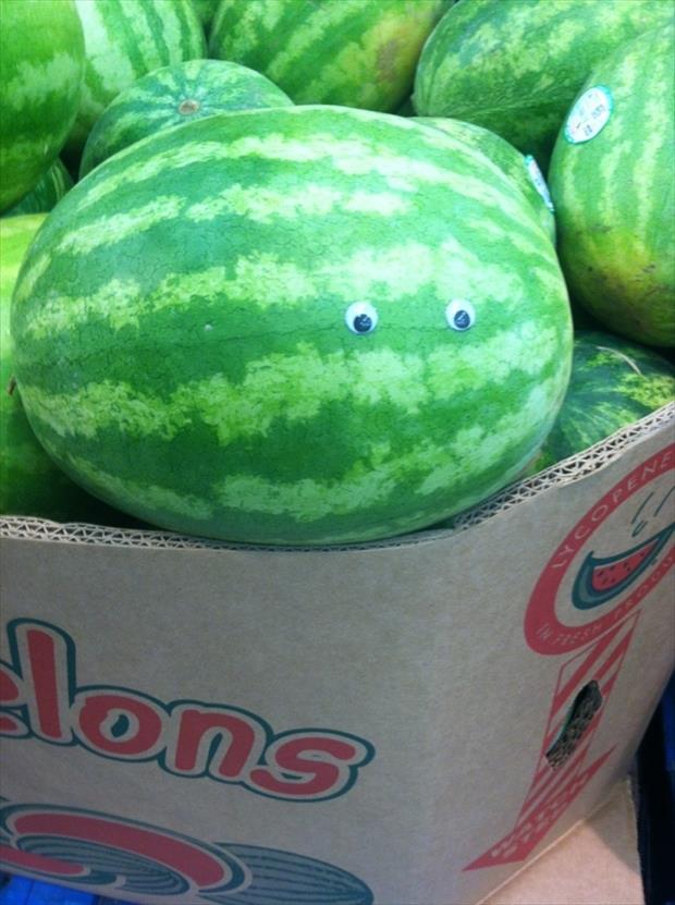 watermelon with googly eyes - Tons