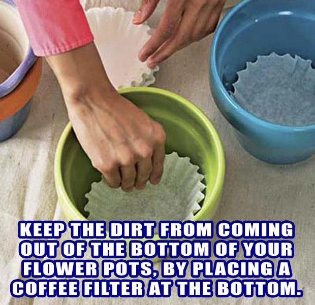 Great household tips