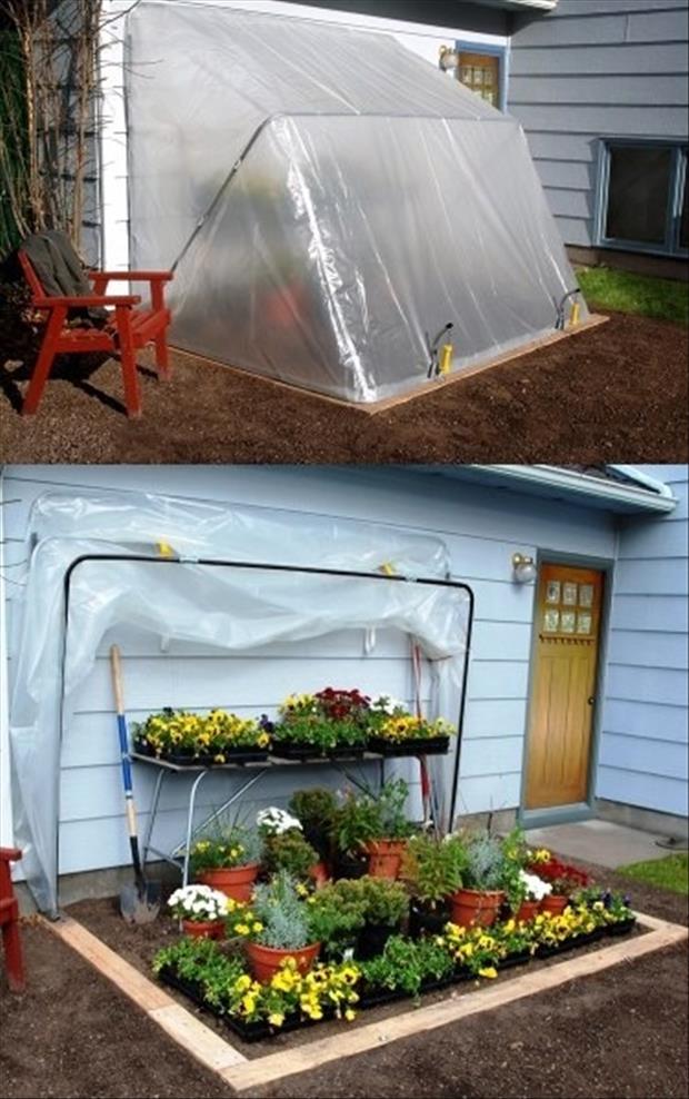 Genius outdoor ideas