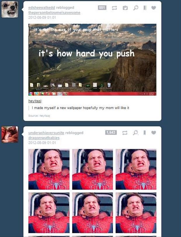 tumblr  - spiderman tumblr funny - edsheewalkedd reblogged 51 O thepersonbelowmeisawesome of the size of your poopthat marters it's how hard you push heyits I made myself a new wallpaper hopefully my mom will it Scre h3 1,543 underachieversunite reblogged