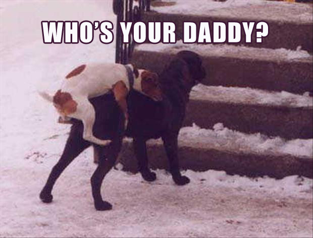 Best of: who's your daddy?