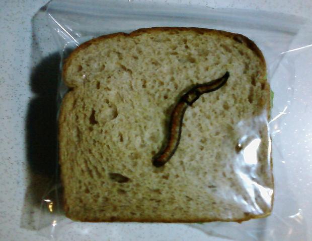lunch art toast