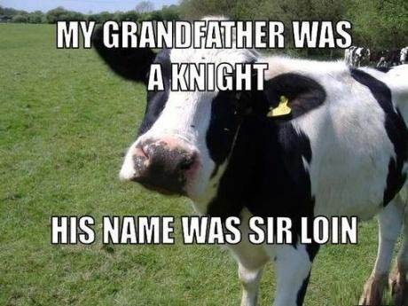 funny cow meme - My Grandfather Was A Knight His Name Was Sir Loin