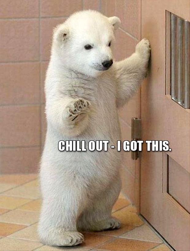 Funny animals with quotes