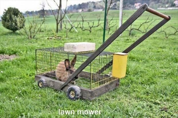 redneck invention redneck lawnmower - lawn mower