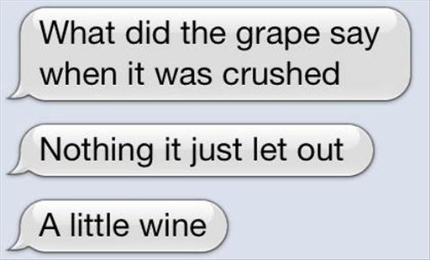dumb puns - What did the grape say when it was crushed Nothing it just let out A little wine