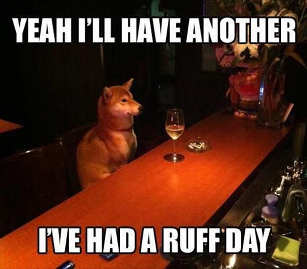 lame funny - Yeah I'Ll Have Another I'Ve Had A Ruff Day