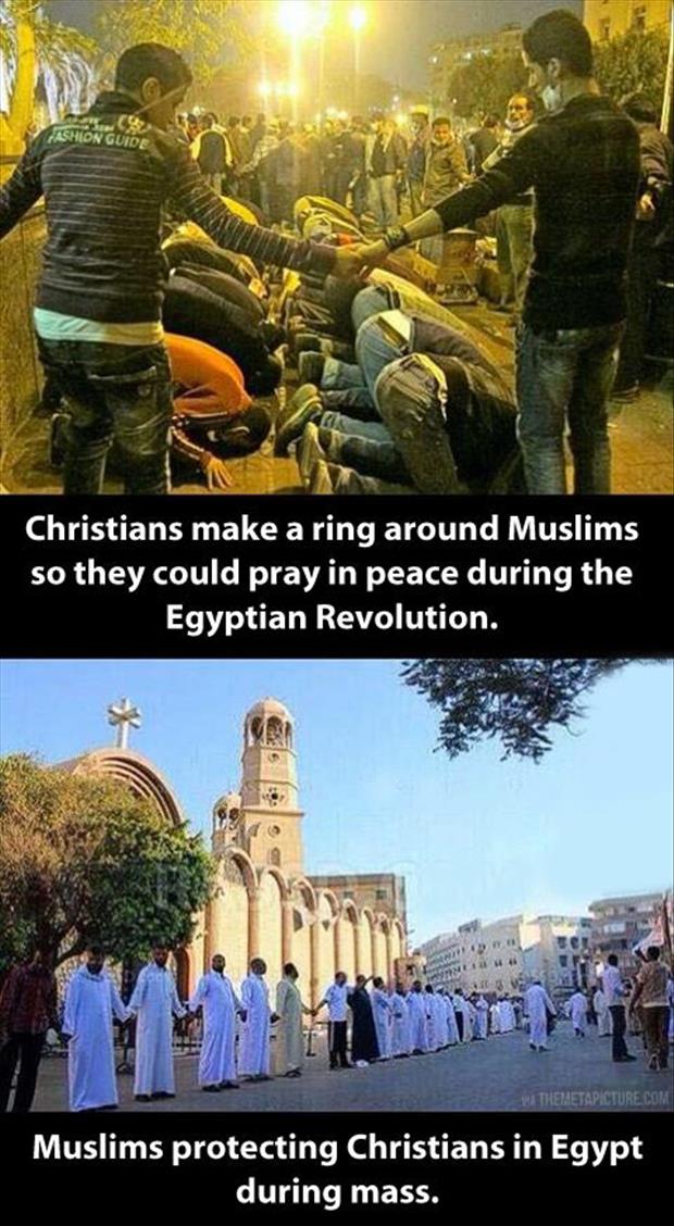 muslims protecting christians meme - Chon Guide Christians make a ring around Muslims so they could pray in peace during the Egyptian Revolution. Themetapicture.Com Muslims protecting Christians in Egypt during mass.