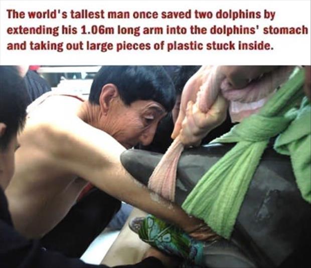 world's tallest man dolphin - The world's tallest man once saved two dolphins by extending his 1.06m long arm into the dolphins' stomach and taking out large pieces of plastic stuck inside.