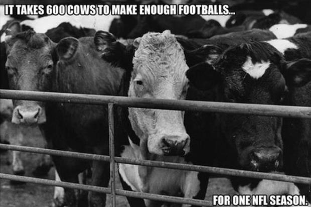 20 football facts you probably didn't know