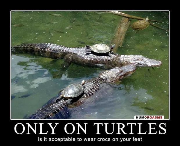 Funny demotivational posters