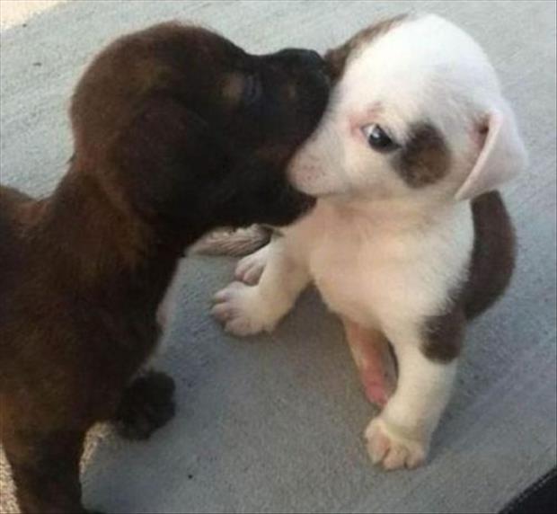 Awkward kisses