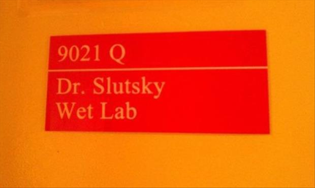 orange - 9021 Q Dr. Slutsky Wet Lab