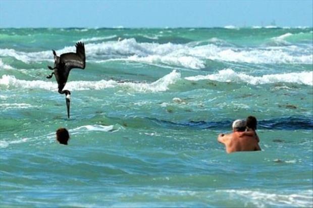 24 Perfectly Timed Photos