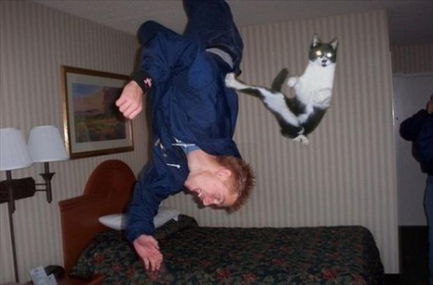 24 Perfectly Timed Photos