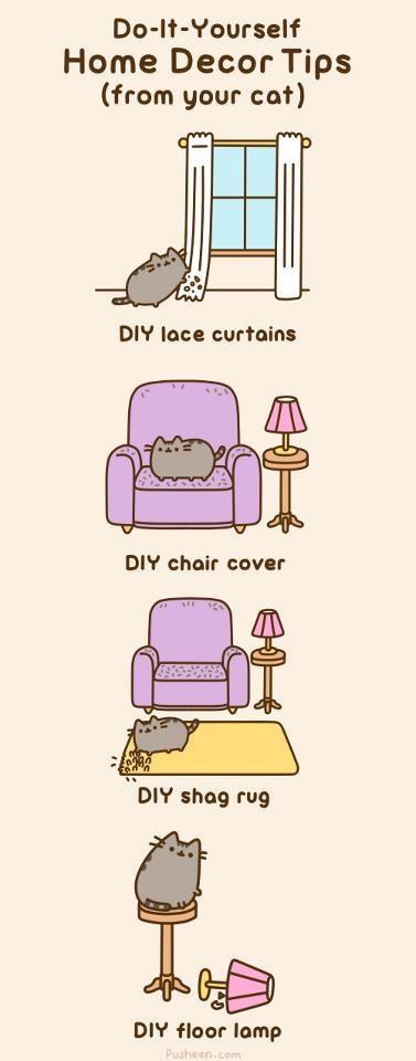 Pictures for cat owners