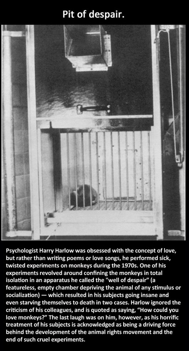 10 psychological experiments that went horribly wrong