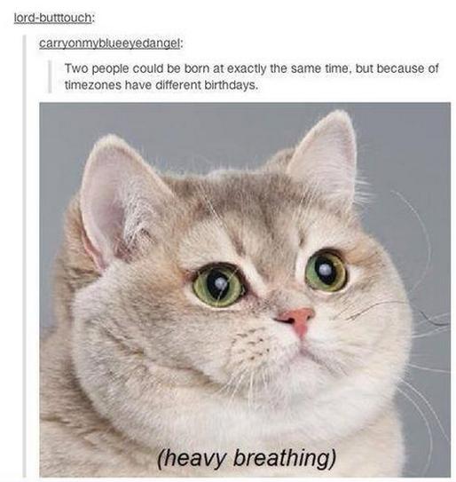 tumblr - you mess with meow meow - lordbutttouch carryonmyblueeyedangel Two people could be born at exactly the same time, but because of timezones have different birthdays. heavy breathing