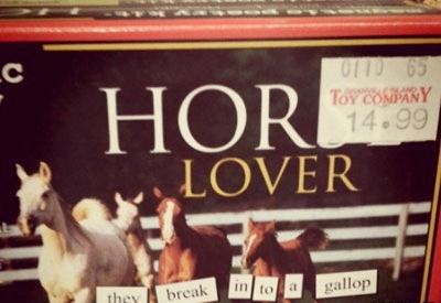 C Hori Ottu 65 Toy Company 14.99 Lover they break into a gallop