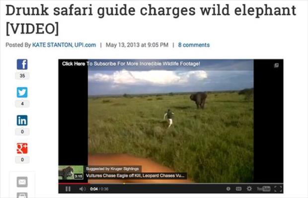 video - Drunk safari guide charges wild elephant Video Posted By Kate Stanton, Upi.com at 9.05 Pm | 8 Click Here To Subscribe For More Incredible Widife Footage! Suped by Kruger Songs Valures Chase Eagle off om, Leopard Chases V. 110 04036