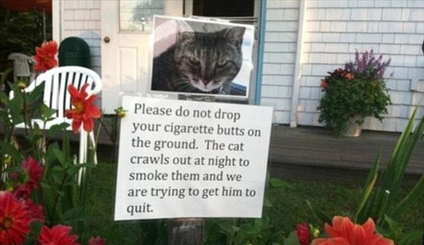 Crazy neighbors