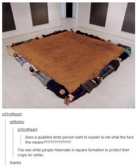 tumblr - S33rofheart willfosho 533rotheart does a qualified white person want to explain to me what the fuck this means????????????? You see white people hibernate in square formation to protect their crops for winter thanks