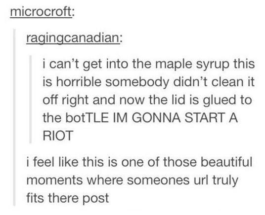 tumblr - funny tumblr posts about url - microcroft ragingcanadian i can't get into the maple syrup this is horrible somebody didn't clean it off right and now the lid is glued to the botTLE Im Gonna Start A Riot i feel this is one of those beautiful momen
