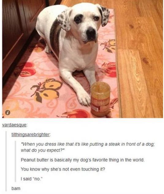 tumblr - dog peanut butter no - vardaesque tilthingsarebrighter "When you dress that it's putting a steak in front of a dog, what do you expect?" Peanut butter is basically my dog's favorite thing in the world. You know why she's not even touching it? I s