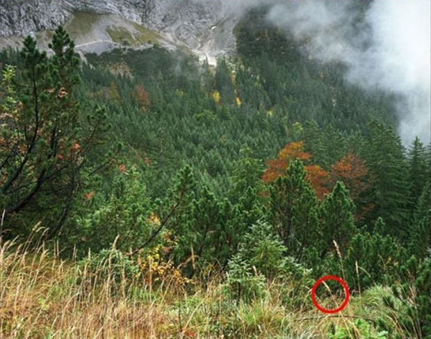 Can you spot the sniper in these pictures?