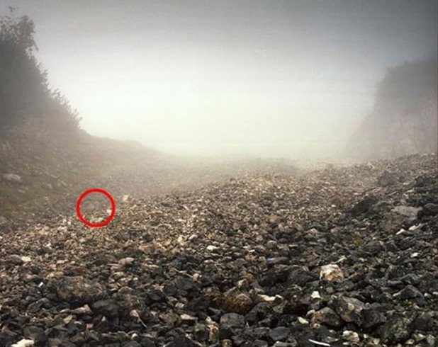 Can you spot the sniper in these pictures?