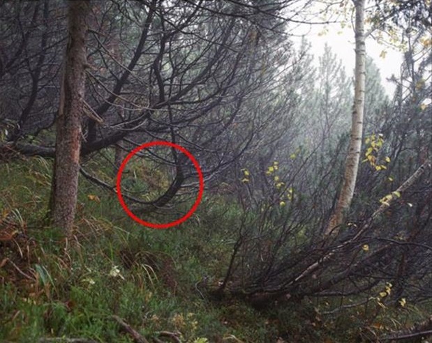 Can you spot the sniper in these pictures?