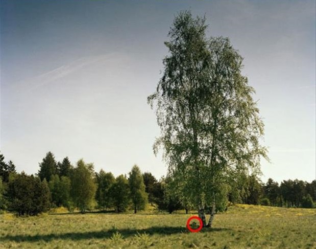 Can you spot the sniper in these pictures?