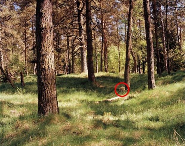 Can you spot the sniper in these pictures?