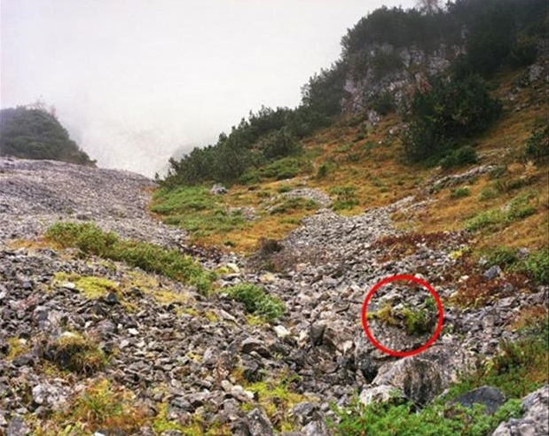 Can you spot the sniper in these pictures?