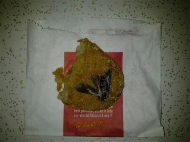 fast food horror roach in mcdonalds hash brown - best potest e it in our World famous Fries" ren launch of