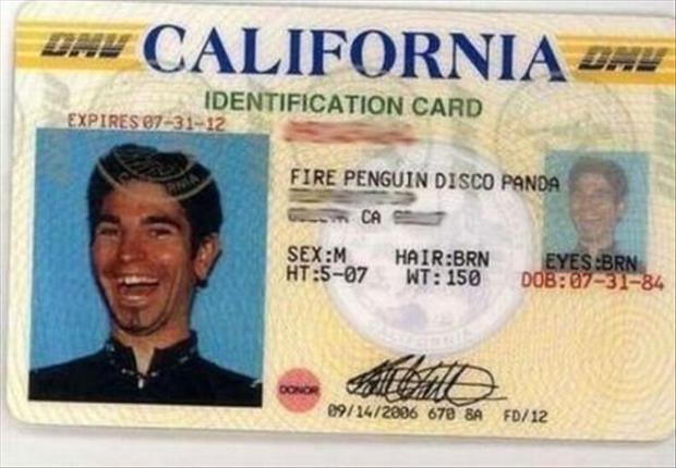 fire penguin disco panda - Dhu California Day Identification Card Expires 073112 Fire Penguin Disco Panda o Ca SexM Ht507 HairBrn Wt 150 EyesBrn Dob 073184 09142006 670 8A Fd12