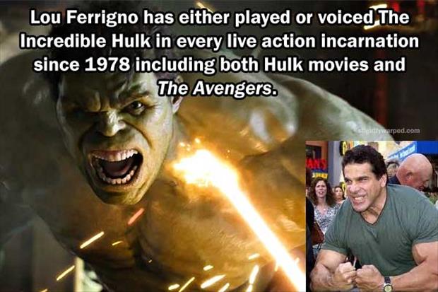 rage hulk avengers - Lou Ferrigno has either played or voiced The Incredible Hulk in every live action incarnation since 1978 including both Hulk movies and The Avengers. S warped.com