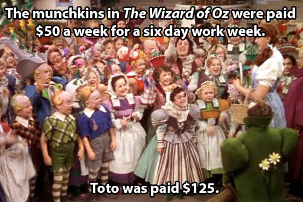 wizard of oz munchkin woman - The munchkins in The Wizard of Oz were paid $50 a week for a six day work week. Toto was paid $125.