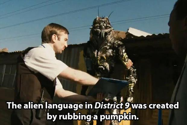 district 9 alien - The alien language in District 9 was created by rubbing a pumpkin.