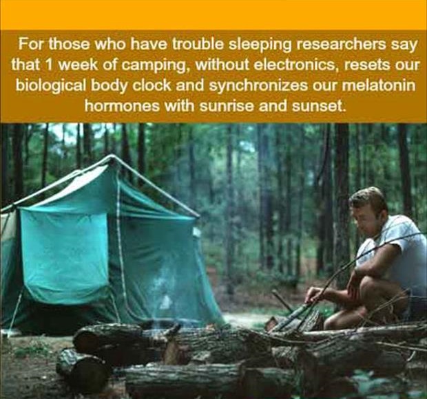 funny camping facts - For those who have trouble sleeping researchers say that 1 week of camping, without electronics, resets our biological body clock and synchronizes our melatonin hormones with sunrise and sunset.