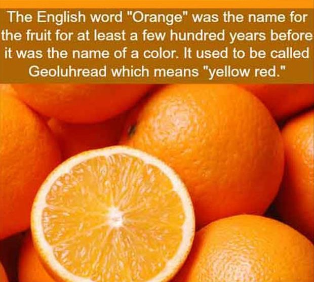 strange facts about fruit - The English word "Orange" was the name for the fruit for at least a few hundred years before it was the name of a color. It used to be called Geoluhread which means "yellow red."