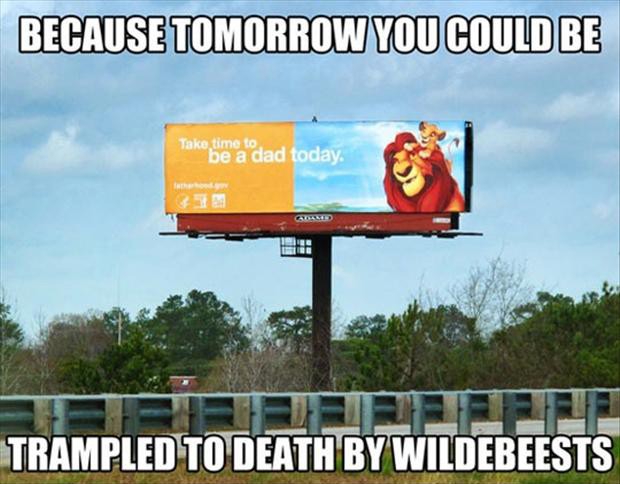 lion king meme funny - Because Tomorrow You Could Be Take time to be a dad today Trampled To Death By Wildebeests