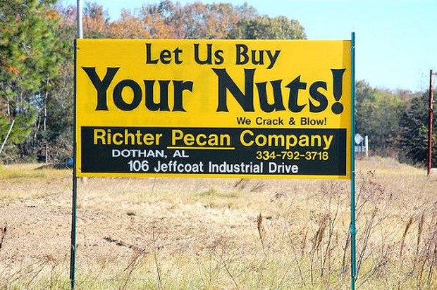 funny signs - Let Us Buy Your Nuts! We Crack & Blow! Richter Pecan Company Dothan, Al 3347923718 106 Jeffcoat Industrial Drive