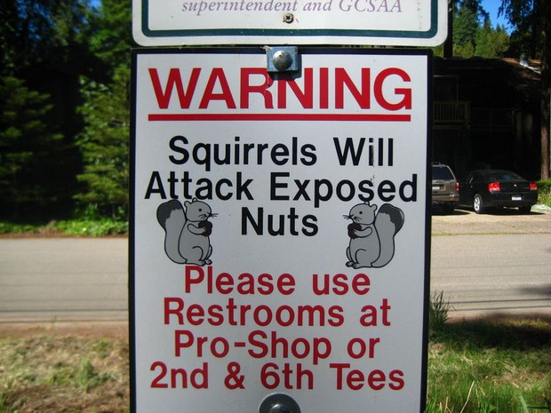 funny signs - superintendent and Gesaa Warning Squirrels Will Attack Exposed 3 Nuts Please use Restrooms at ProShop or 2nd & 6th Tees