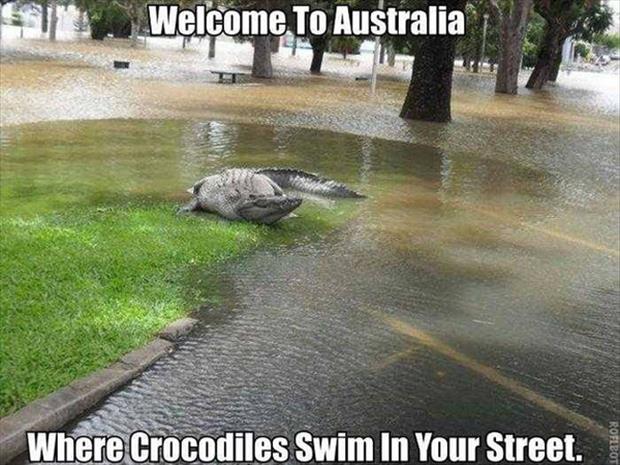 Creepy Things You'll See In Australia