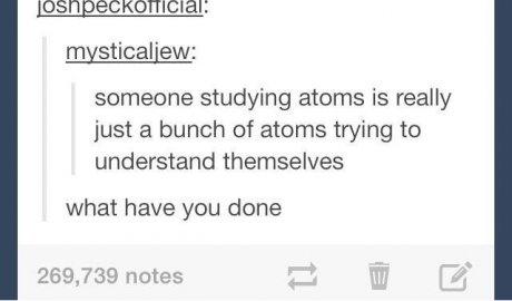 tumblr - diagram - Joshpeckoticial! mysticaliew someone studying atoms is really just a bunch of atoms trying to understand themselves what have you done 269,739 notes