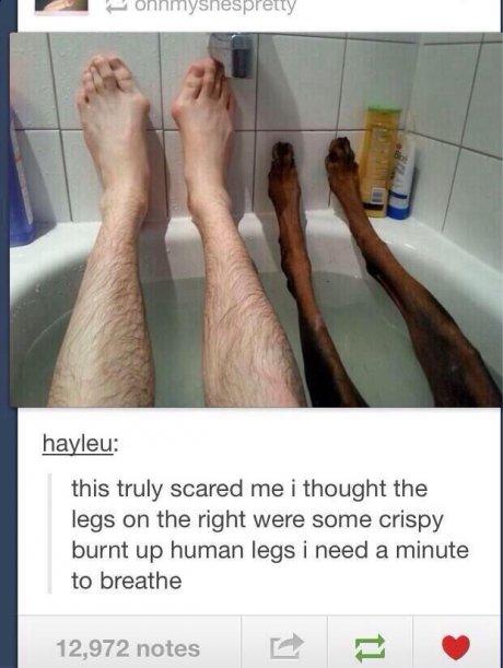 tumblr - crispy burnt human legs - onmyshlespretty hayleu this truly scared me i thought the legs on the right were some crispy burnt up human legs i need a minute to breathe 12,972 notes