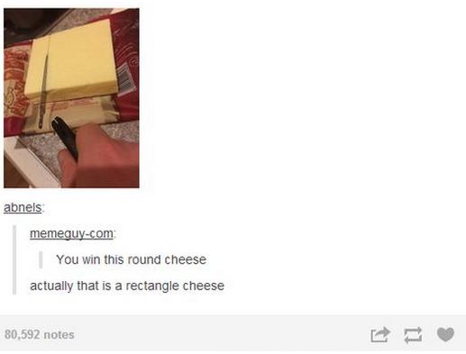 tumblr - you win this round cheese - abnels memeguy.com You win this round cheese actually that is a rectangle cheese 80,592 notes