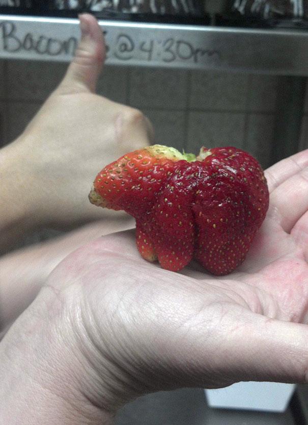 Fruits and vegetables that look like other things