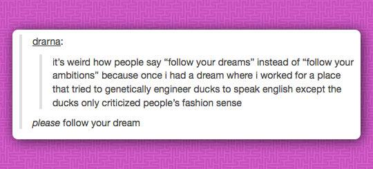 tumblr - document - drarna it's weird how people say " your dreams" instead of " your ambitions" because once i had a dream where I worked for a place that tried to genetically engineer ducks to speak english except the ducks only criticized people's fash